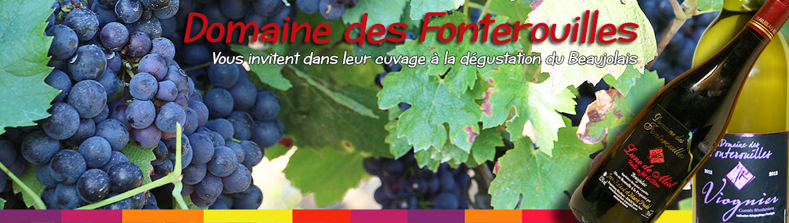 Beaujolais Domaine des Fonterouilles