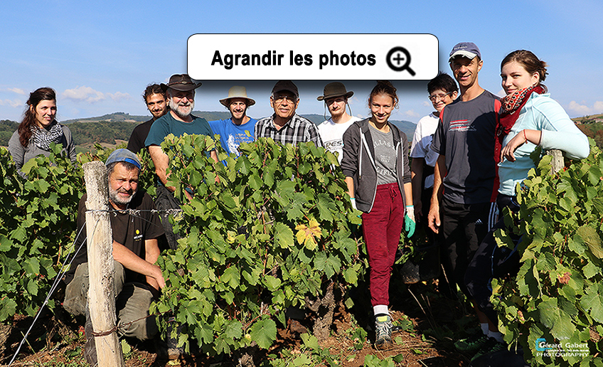 Les vendanges