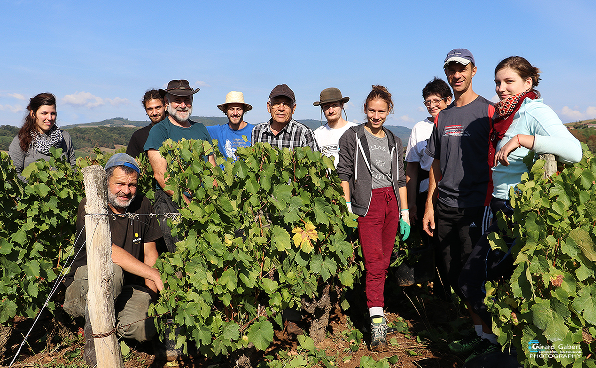 Vendanges 2017