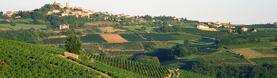 Pays Beaujolais des Pierres Dorées