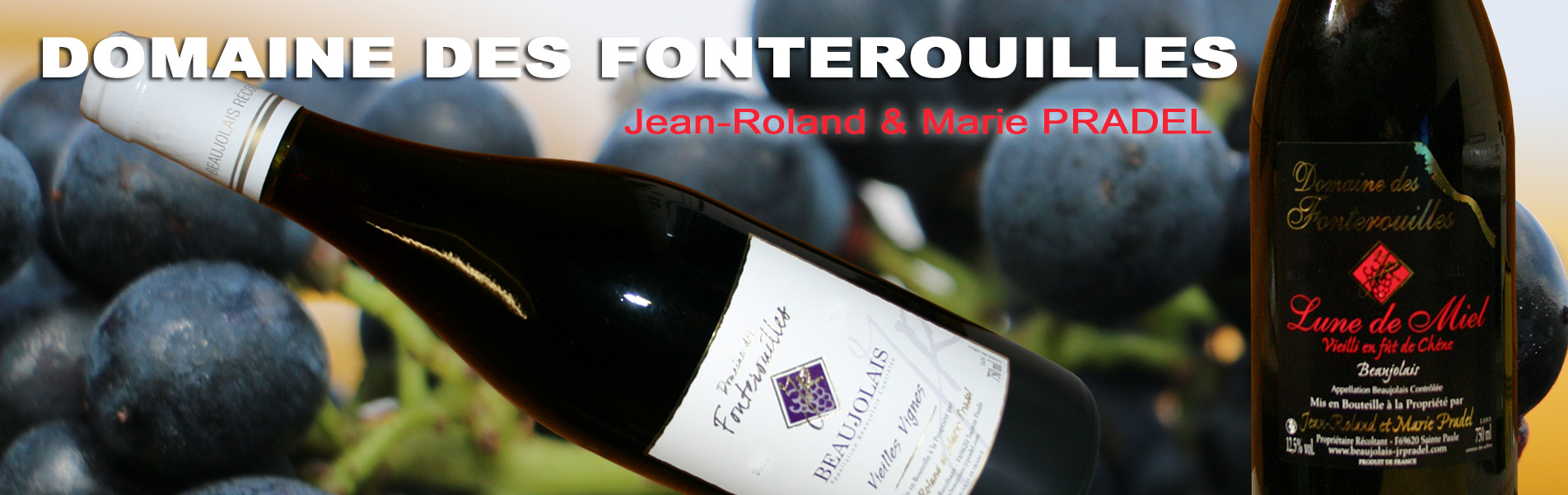 Beaujolais Domaine des Fonterouilles